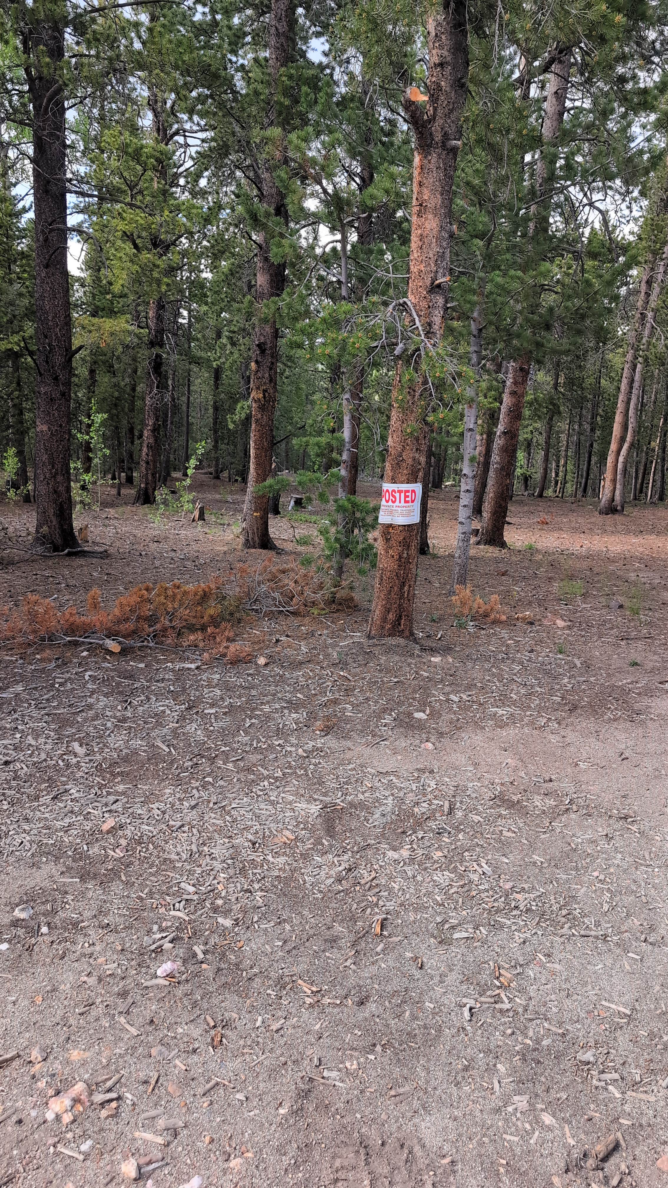 Camper submitted image from York Gulch Road - 4