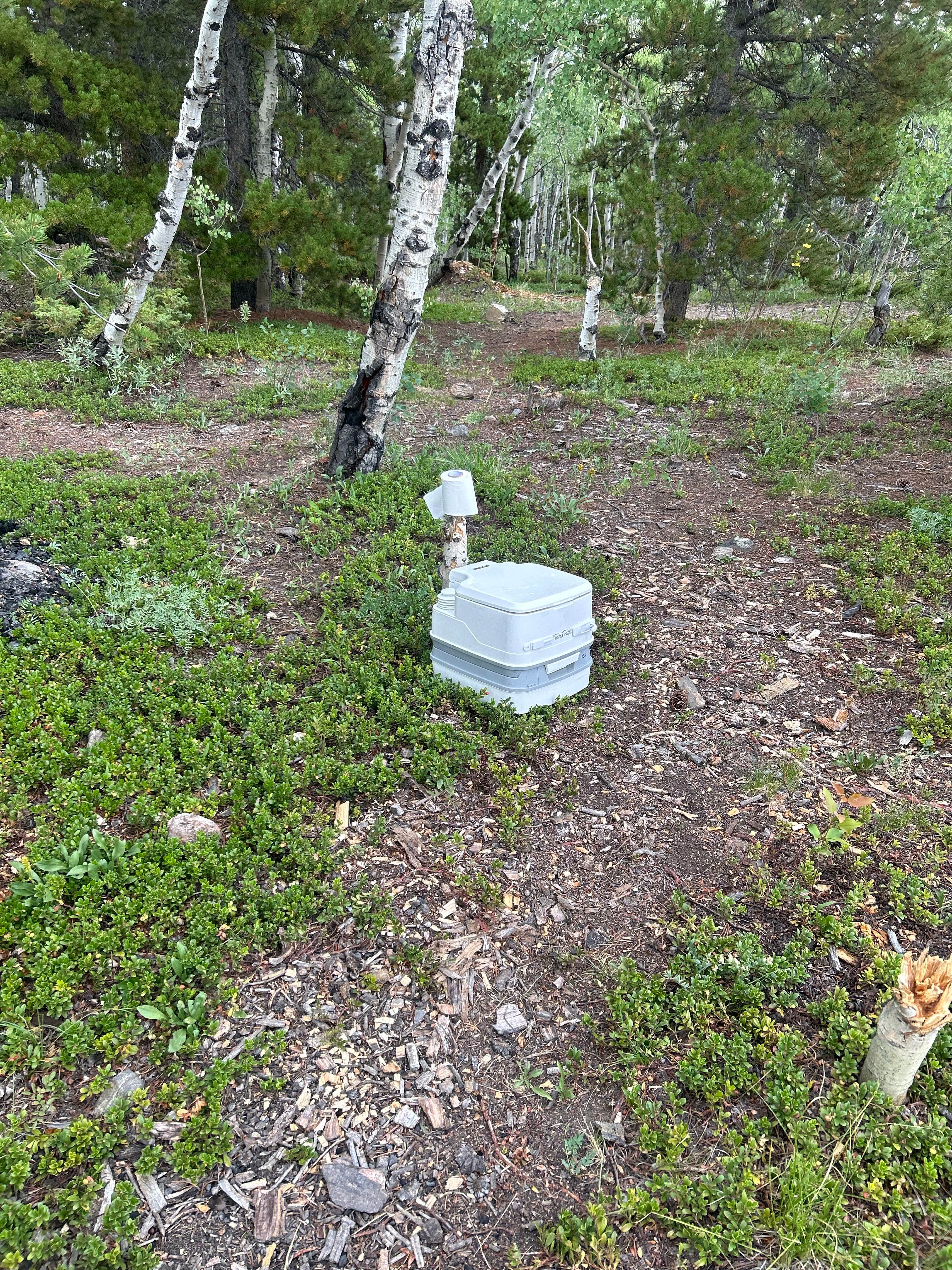 Camper-submitted photo at York Gulch Road near Idaho Springs, CO