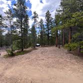 Review photo of York Gulch Road by Oscar D., June 25, 2025