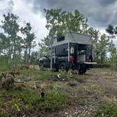 Review photo of York Gulch Road by Heather P., August 21, 2024