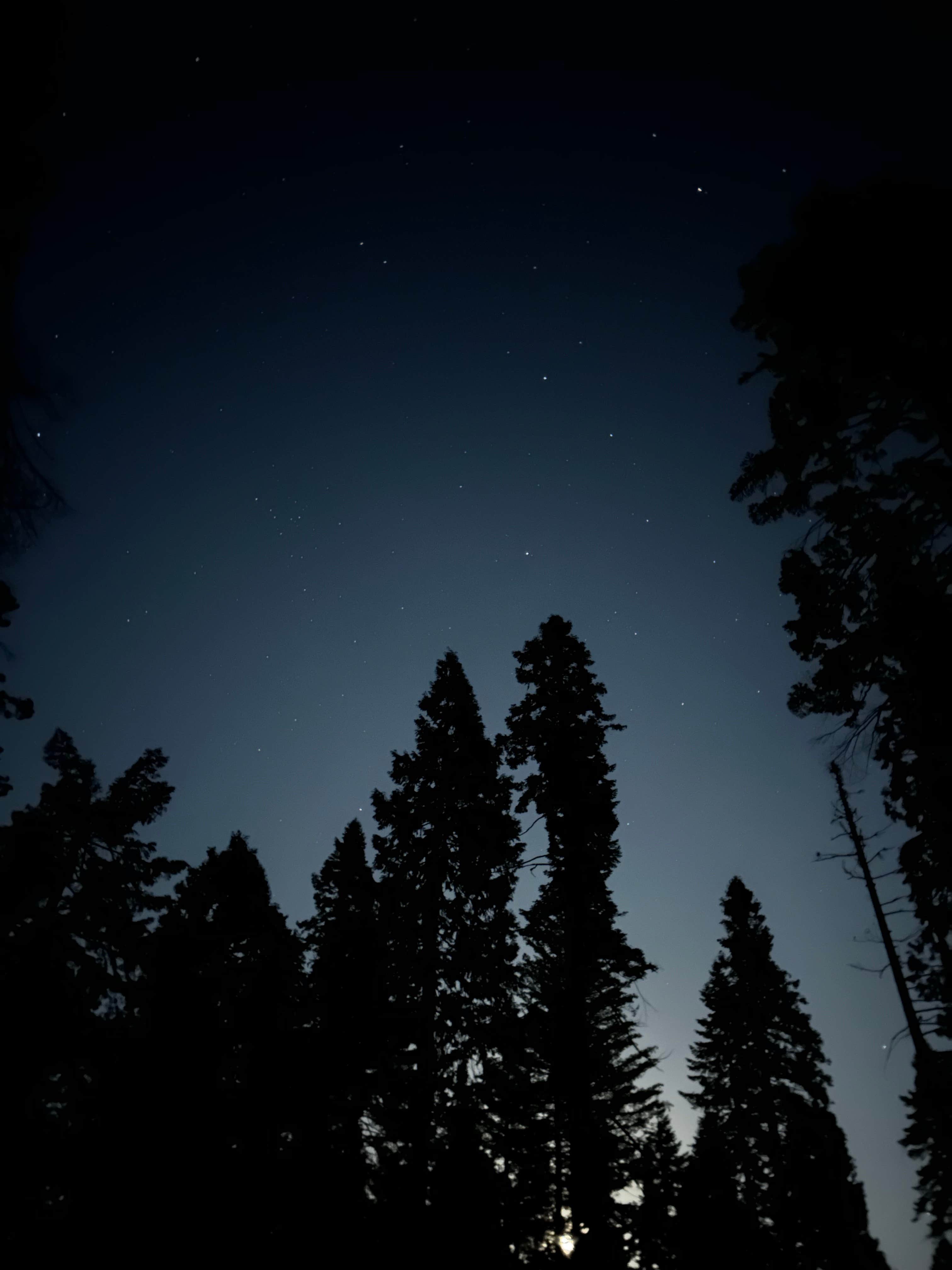 Dylan B.'s photo of a dispersed camping area at Yosemite “Boondock National” Dispersed Camping near Merced, CA