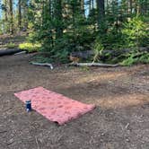 Review photo of Yosemite “Boondock National” Dispersed Camping by Alexis O., May 28, 2024
