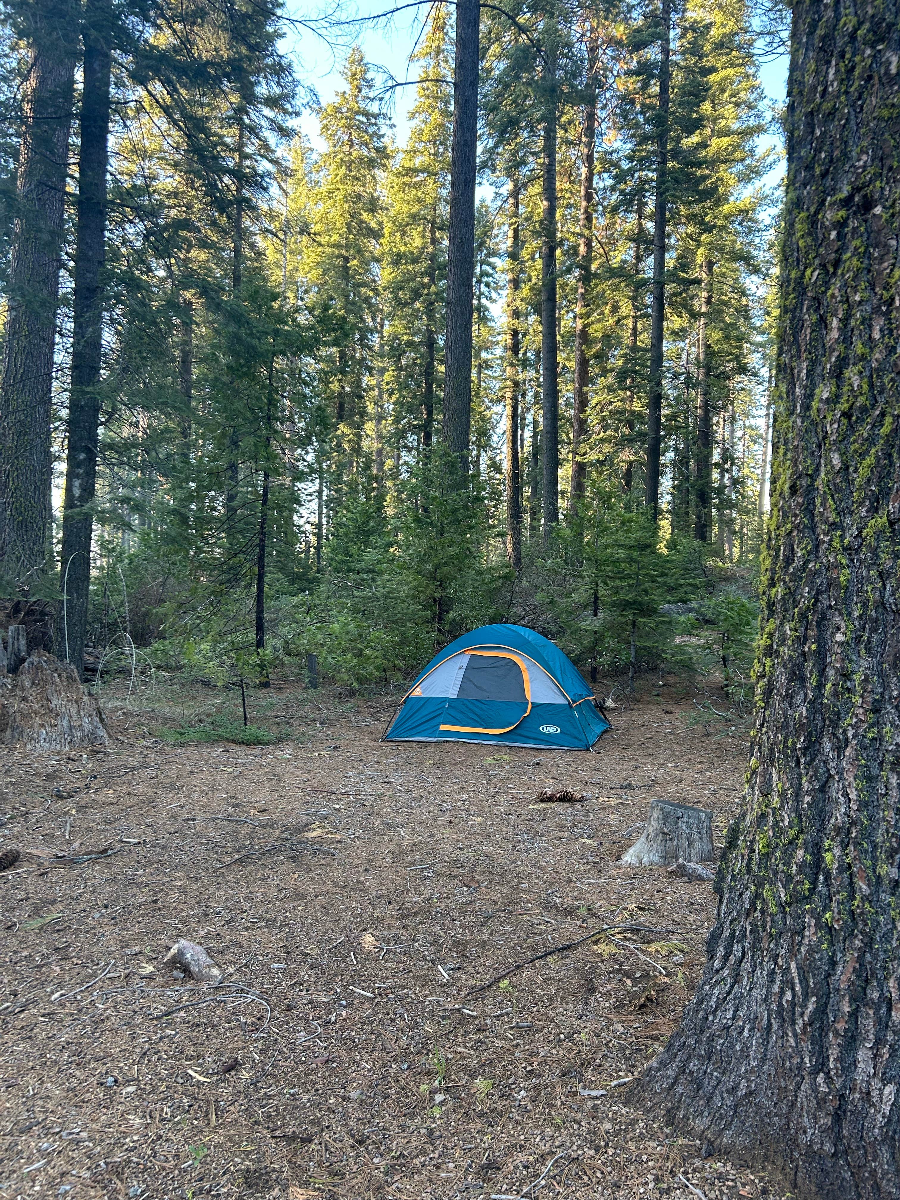 Camper-submitted photo at Yosemite “Boondock National” Dispersed Camping near Wawona, CA
