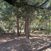 Review photo of Thousand Trails Yosemite Lakes by Courtney G., August 12, 2026