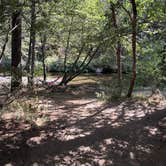Review photo of Thousand Trails Yosemite Lakes by Courtney G., August 12, 2026
