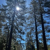 Review photo of Thousand Trails Yosemite Lakes by Martyna G., May 9, 2024