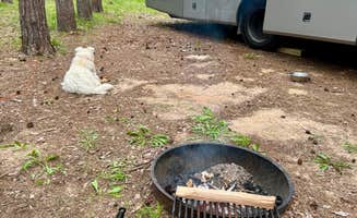 Paulina B.'s photo of camping with pets at Yukon Trails Camping near Nekoosa, WI