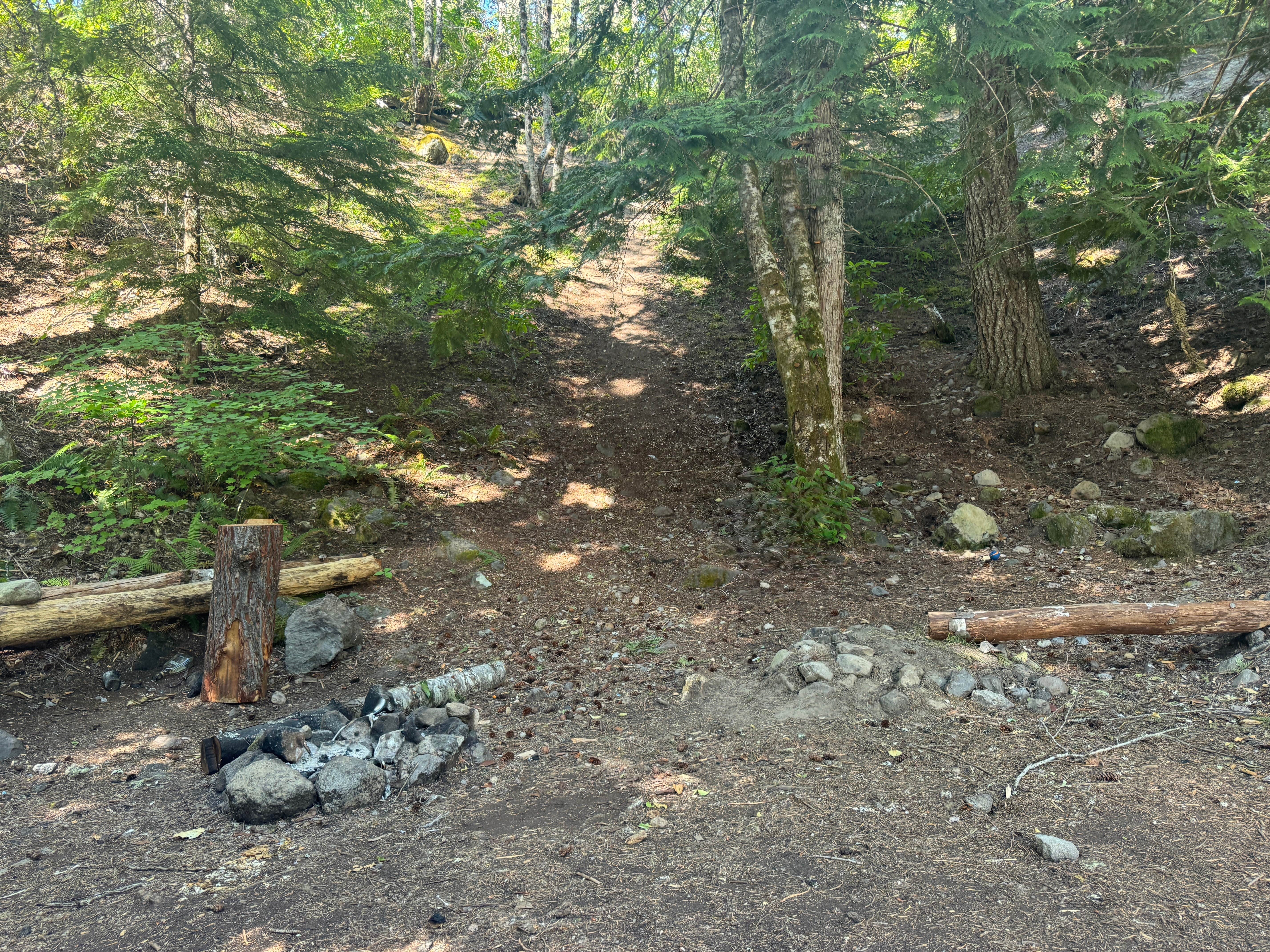 Camping near 39 Rd Dispersed Site: Zigzag River Camp, Government Camp, Oregon