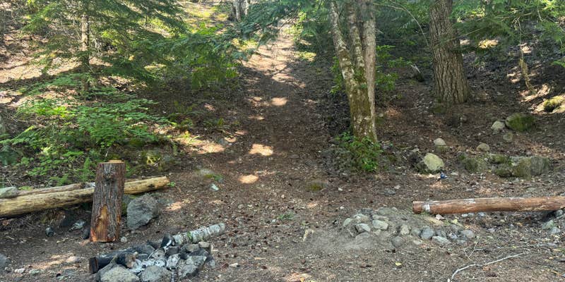 Camper submitted image from Zigzag River Camp