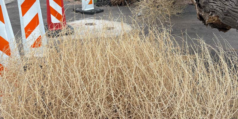 Camper submitted image from Zion National Park KOA Holiday