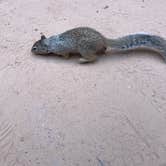 Review photo of Zion Ponderosa Ranch Resort by Jilbers A., November 29, 2025