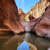Review photo of Zion River Resort by Shelly S., April 24, 2025