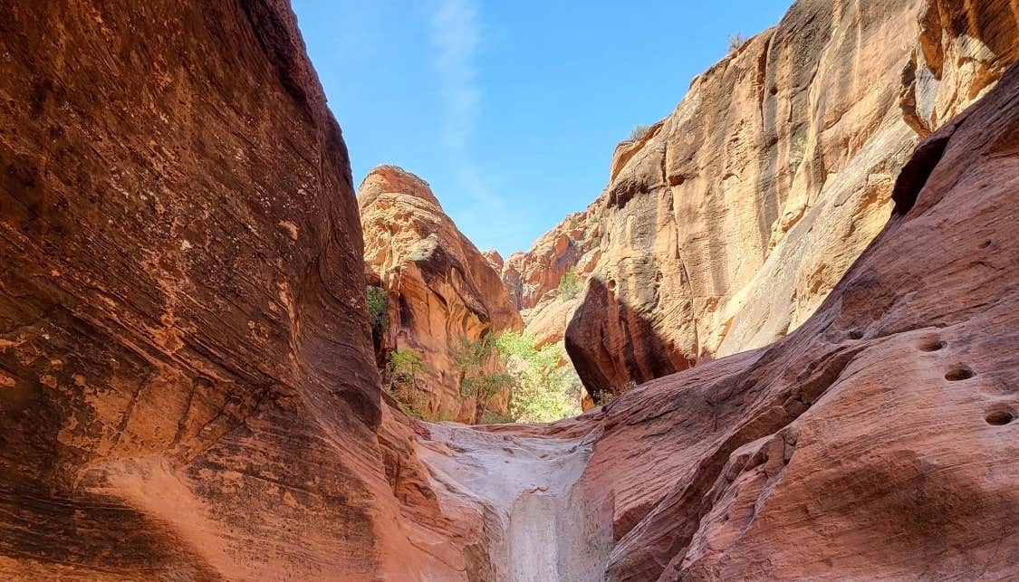 Zion National Park