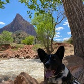 Review photo of Zion River Resort by Rico B., April 23, 2024