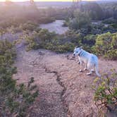 Review photo of BLM Road #71 Gravel Pit Dispersed - BLM by Lynn , November 16, 2025