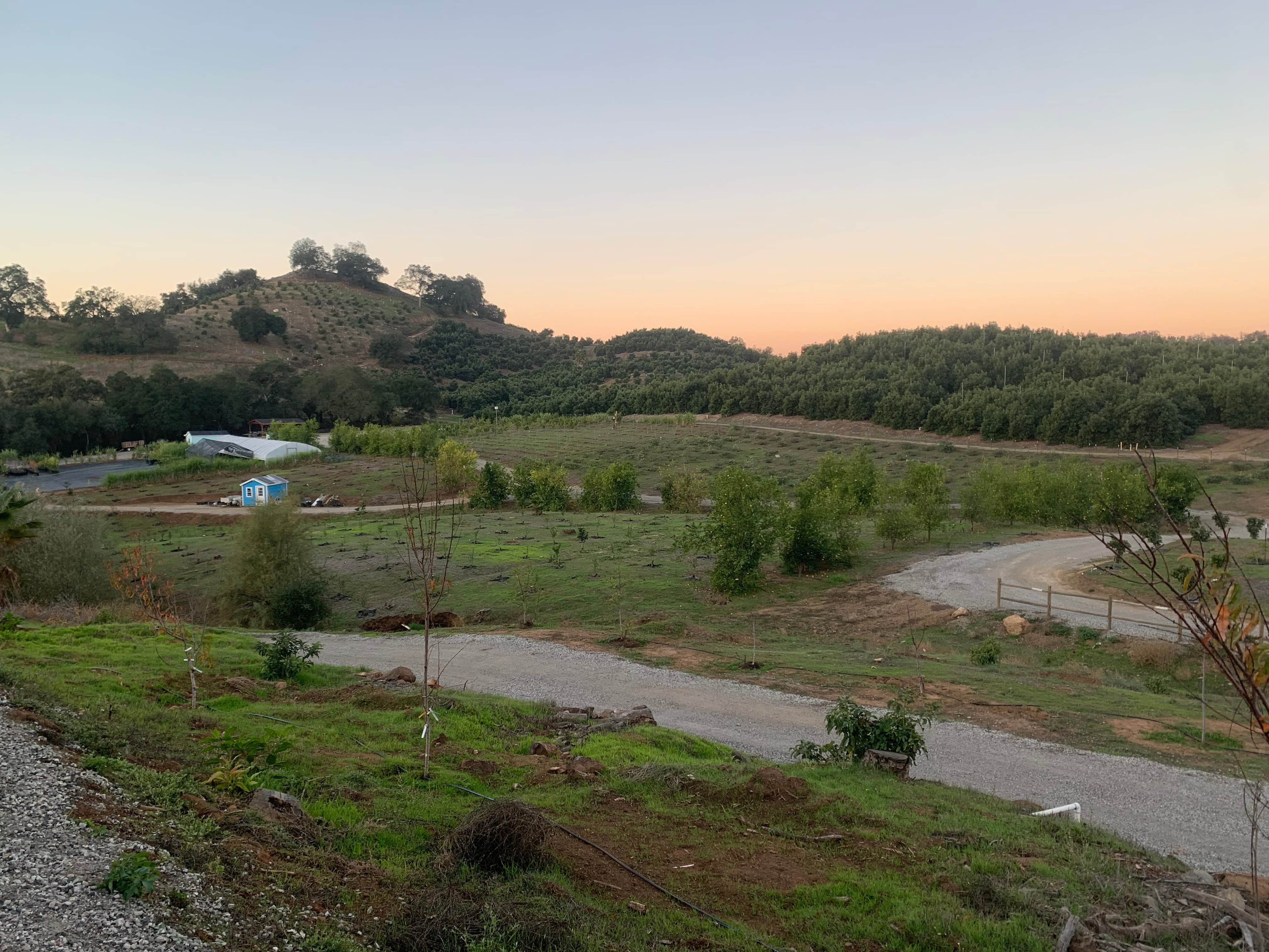 Camper submitted image from ZNZ CAMP - 4