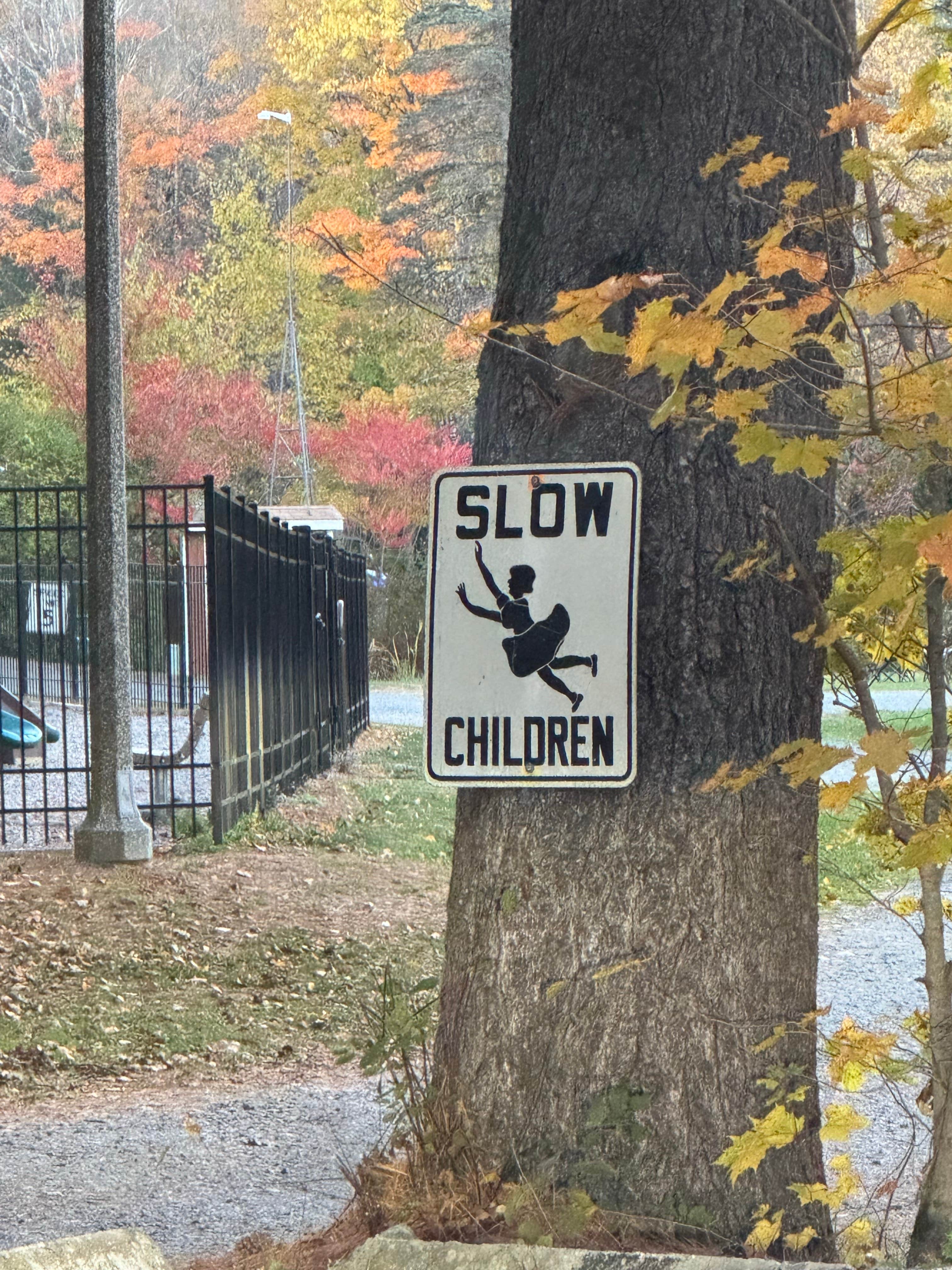 Camper-submitted photo at Zoar Outdoor near Whately, MA