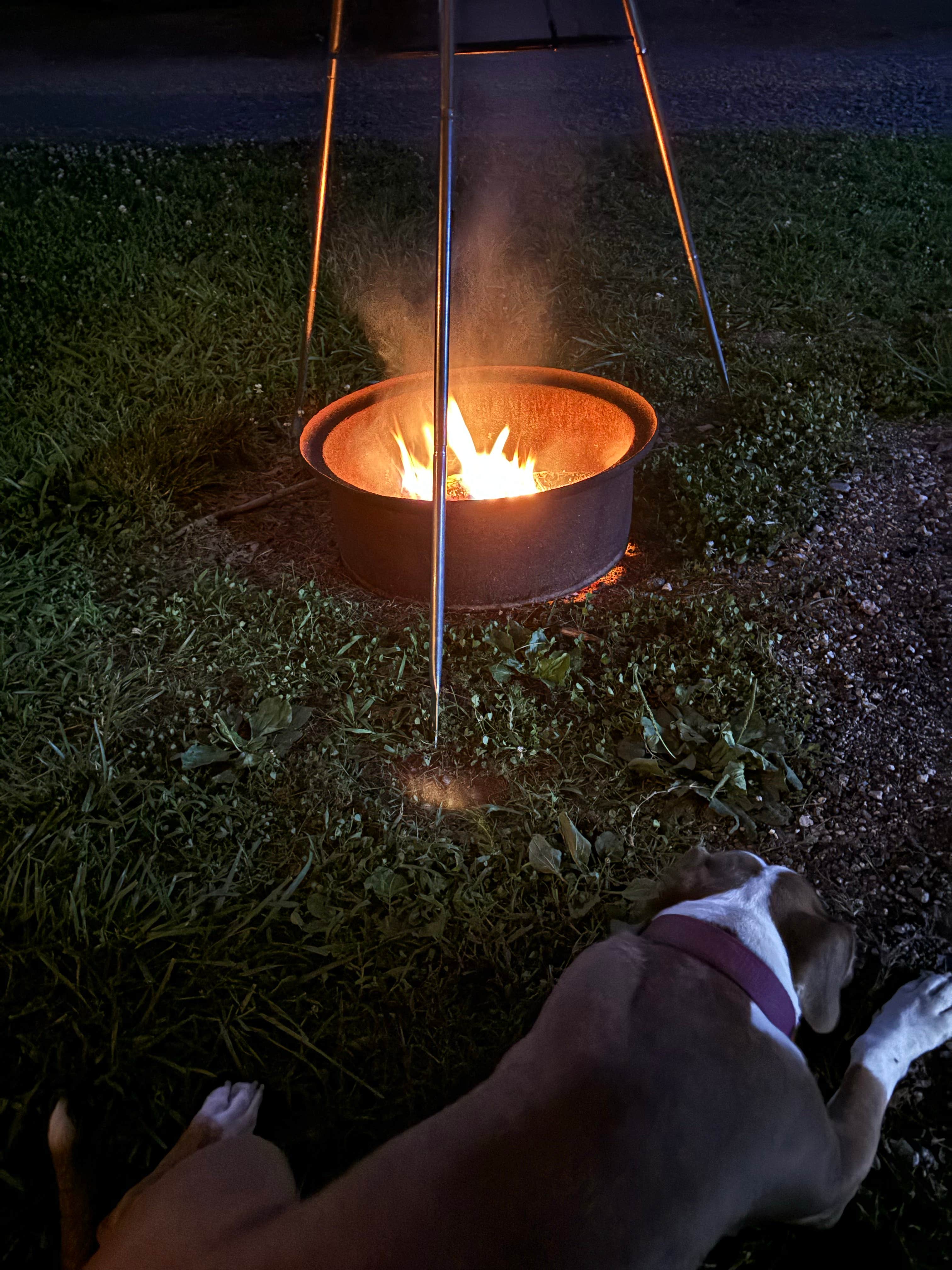 terri L.'s photo of camping with pets at Zooland Family Campground near Whitsett, NC