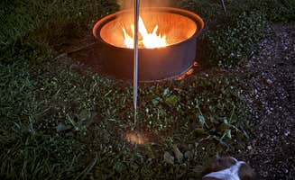 terri L.'s photo of camping with pets at Zooland Family Campground near Welcome, NC