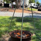 Review photo of Zooland Family Campground by terri L., July 15, 2024