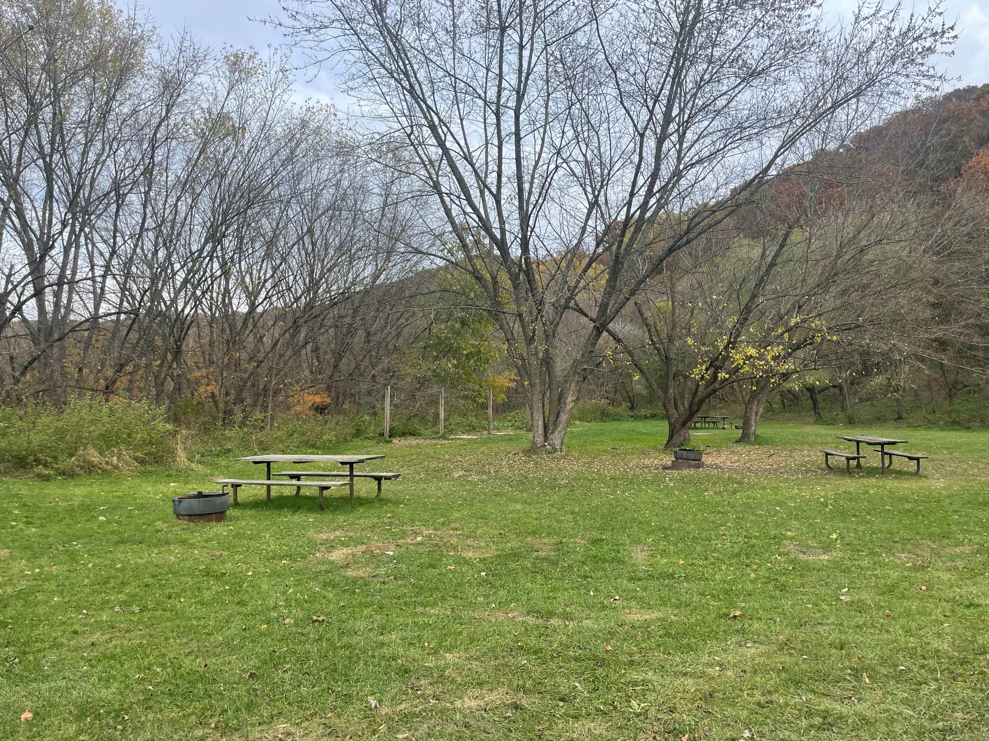 Camping near Pioneer Campsite Resort: Zumbro Bottoms Central — R.J.D. Memorial Hardwood State Forest, Kellogg, Minnesota