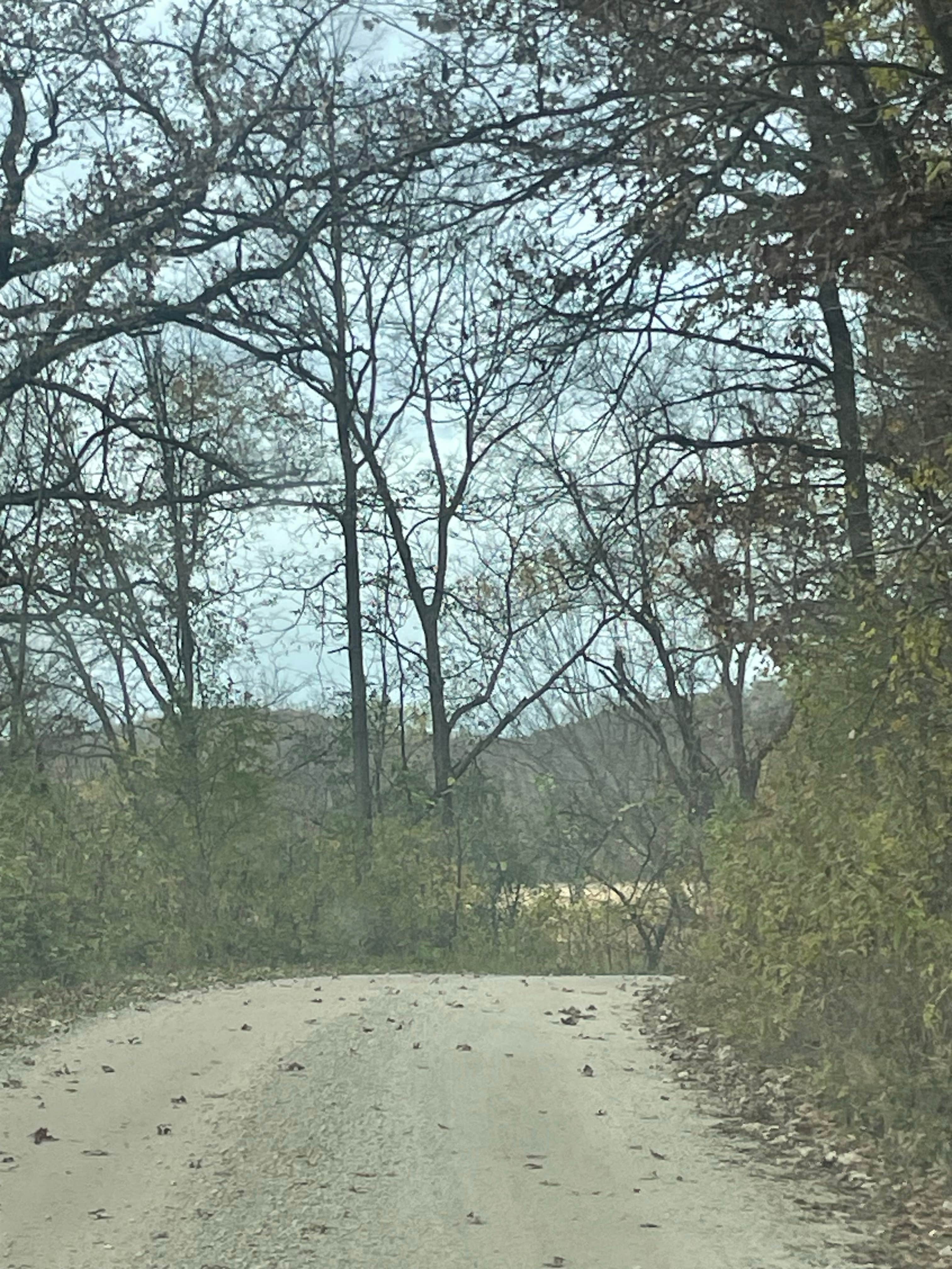 Camper submitted image from Zumbro Bottoms Central — R.J.D. Memorial Hardwood State Forest - 4