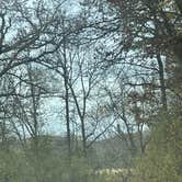 Review photo of Zumbro Bottoms Central — R.J.D. Memorial Hardwood State Forest by Crystal B., October 29, 2025