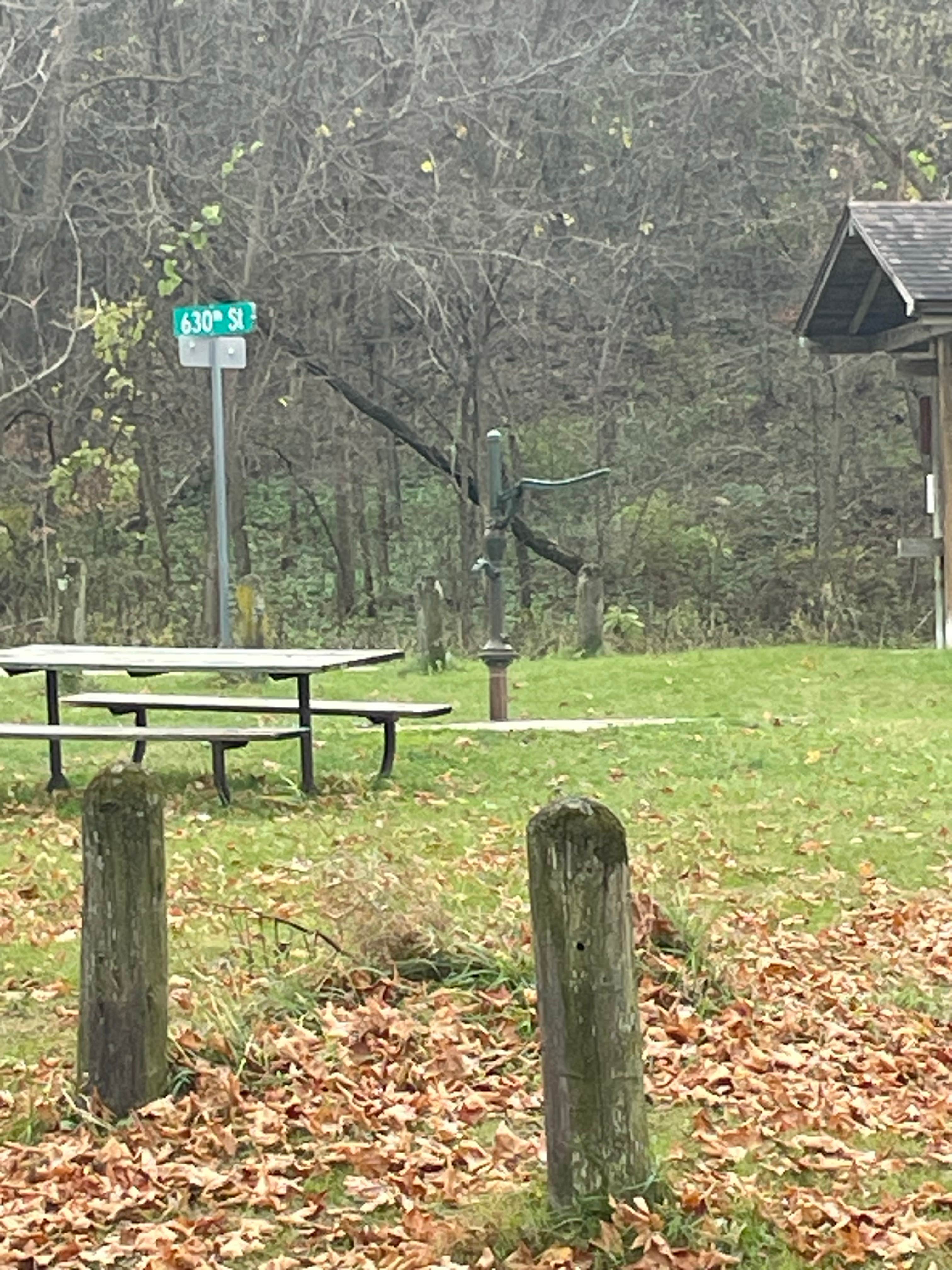Camper-submitted photo at Zumbro Bottoms Central — R.J.D. Memorial Hardwood State Forest near Elmwood, WI