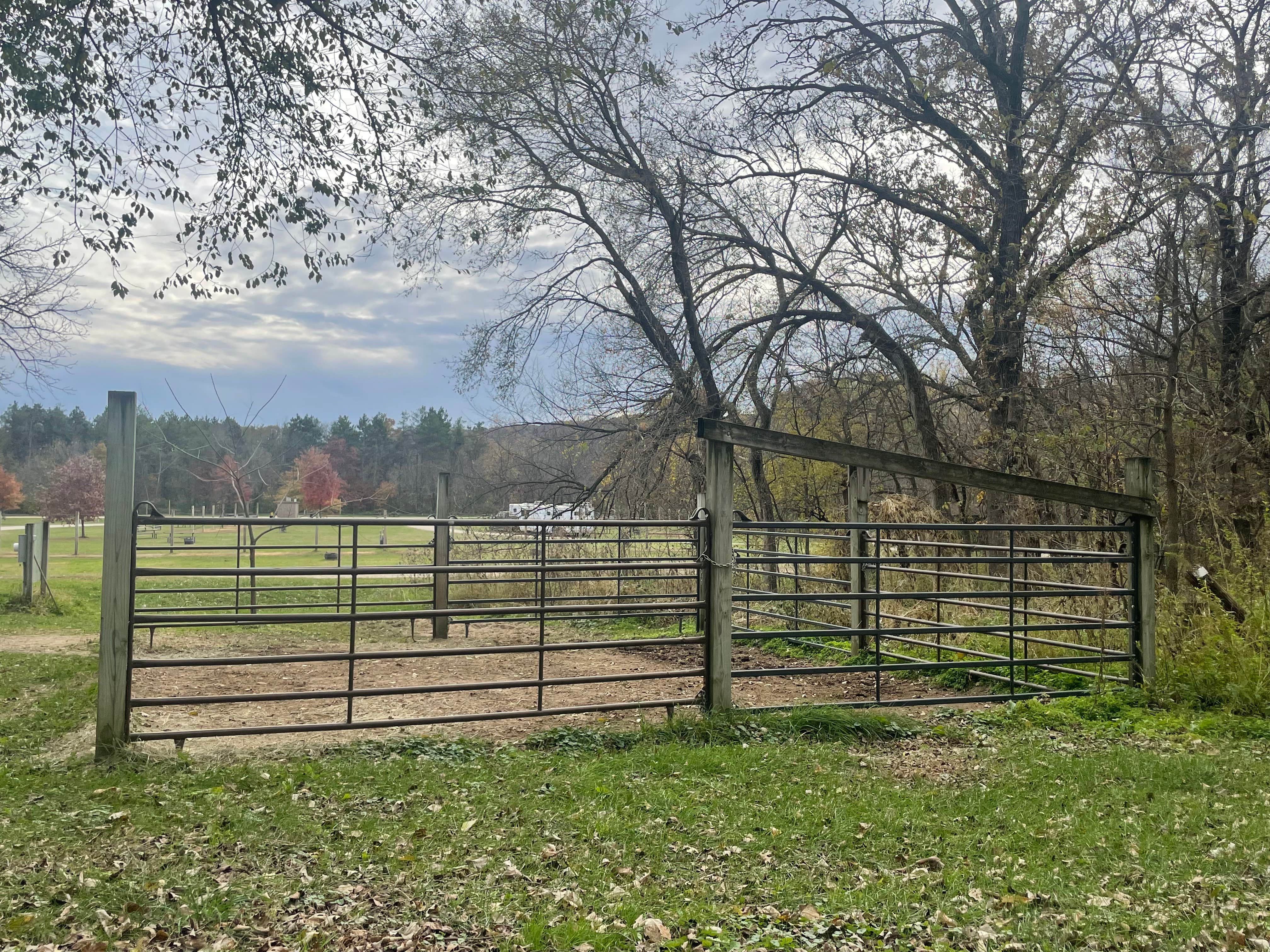 Camper submitted image from Zumbro Bottoms West — R.J.D. Memorial Hardwood State Forest - 3