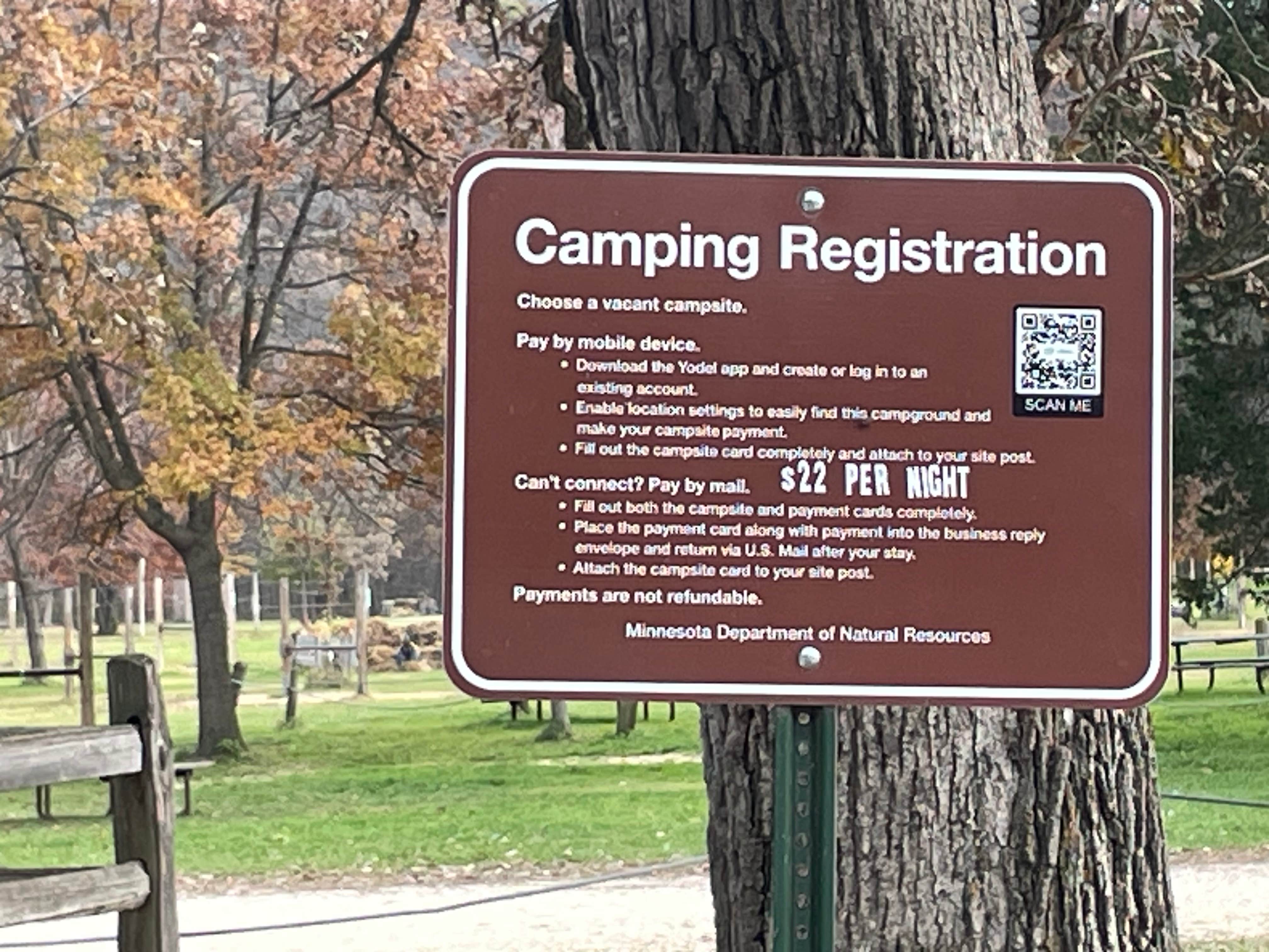 Camper-submitted photo at Zumbro Bottoms West — R.J.D. Memorial Hardwood State Forest near Elmwood, WI