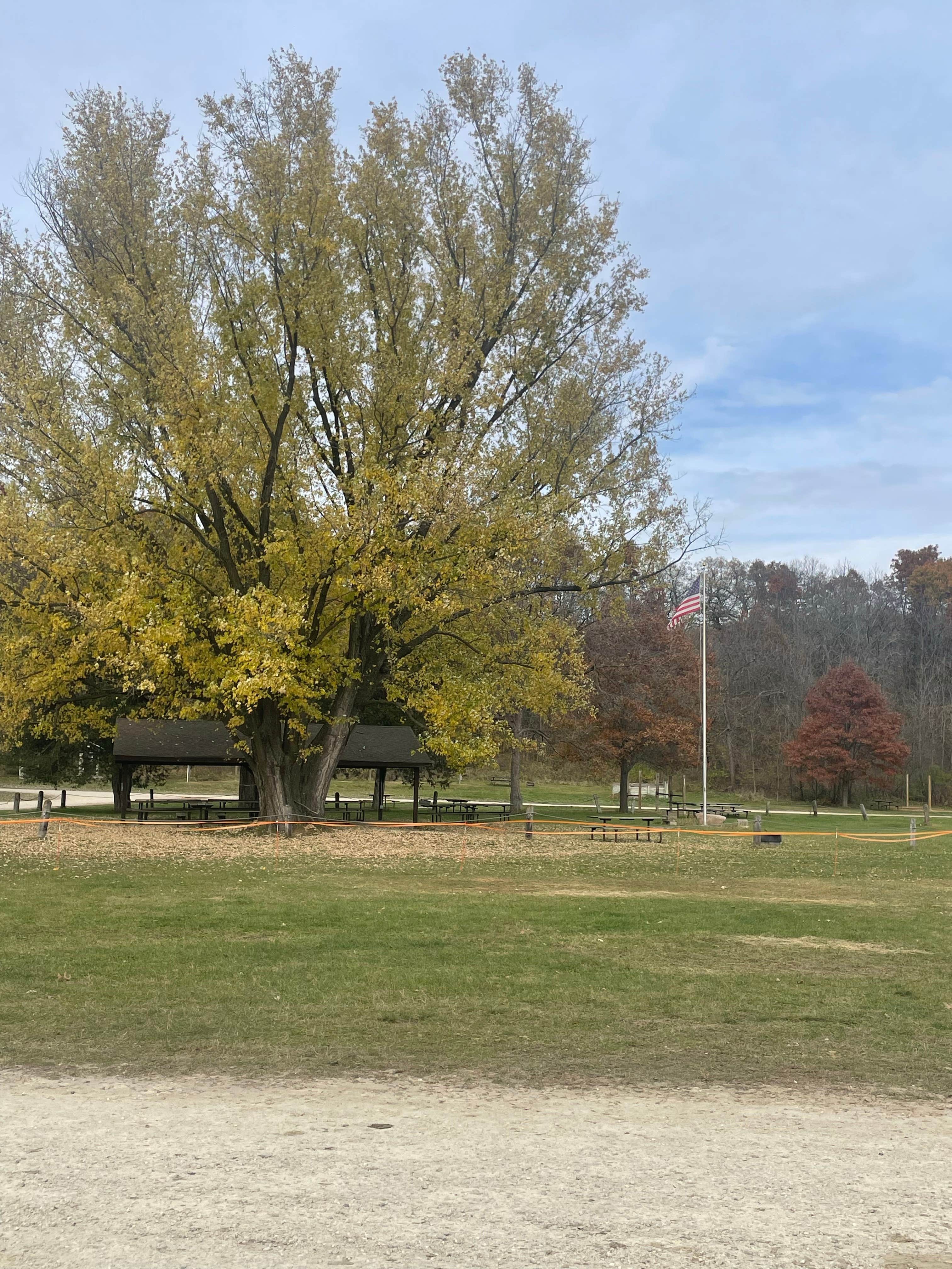 Camper-submitted photo at Zumbro Bottoms West — R.J.D. Memorial Hardwood State Forest near Elmwood, WI