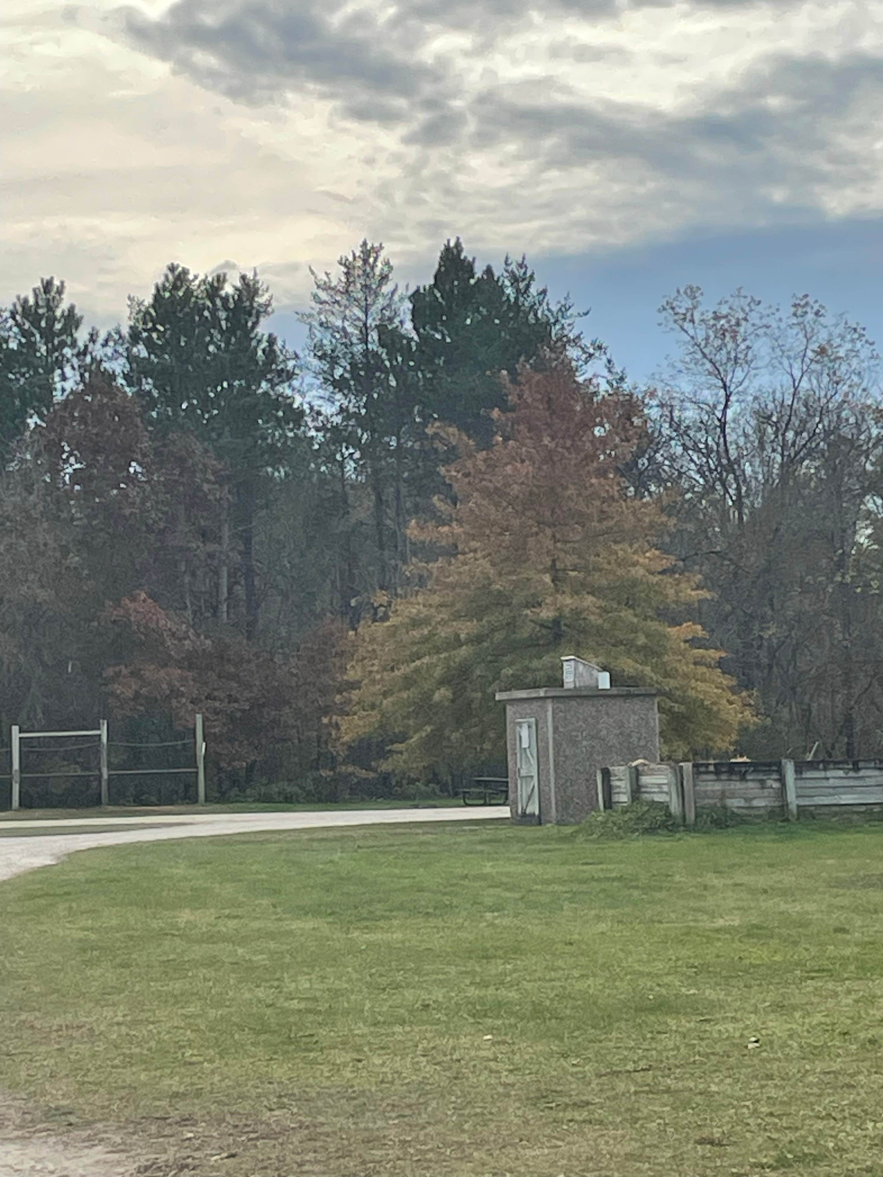 Camper submitted image from Zumbro Bottoms West — R.J.D. Memorial Hardwood State Forest - 1