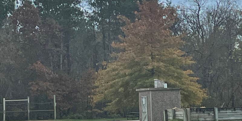 Camper submitted image from Zumbro Bottoms West — R.J.D. Memorial Hardwood State Forest