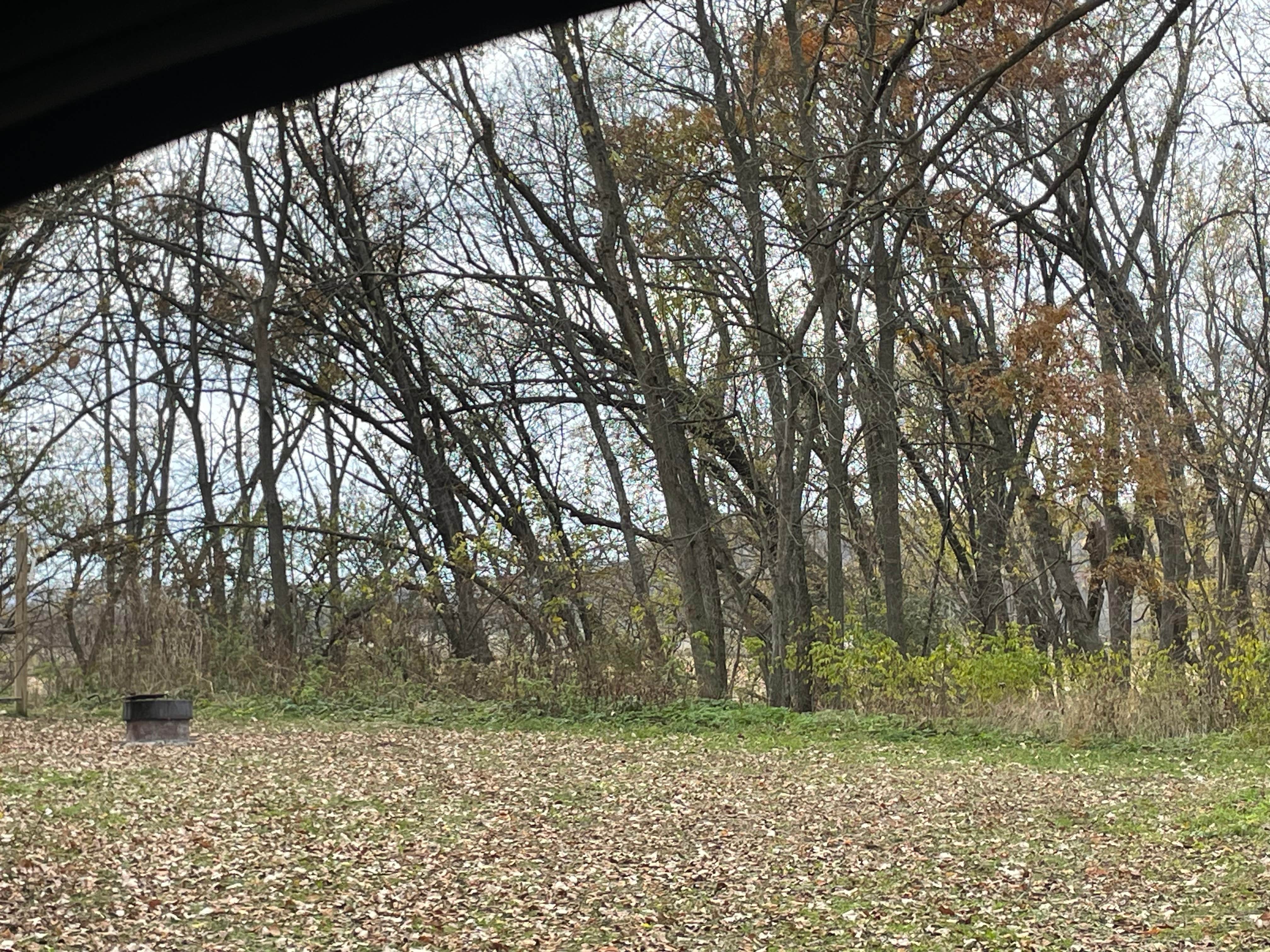 Camper submitted image from Zumbro Bottoms West — R.J.D. Memorial Hardwood State Forest - 5