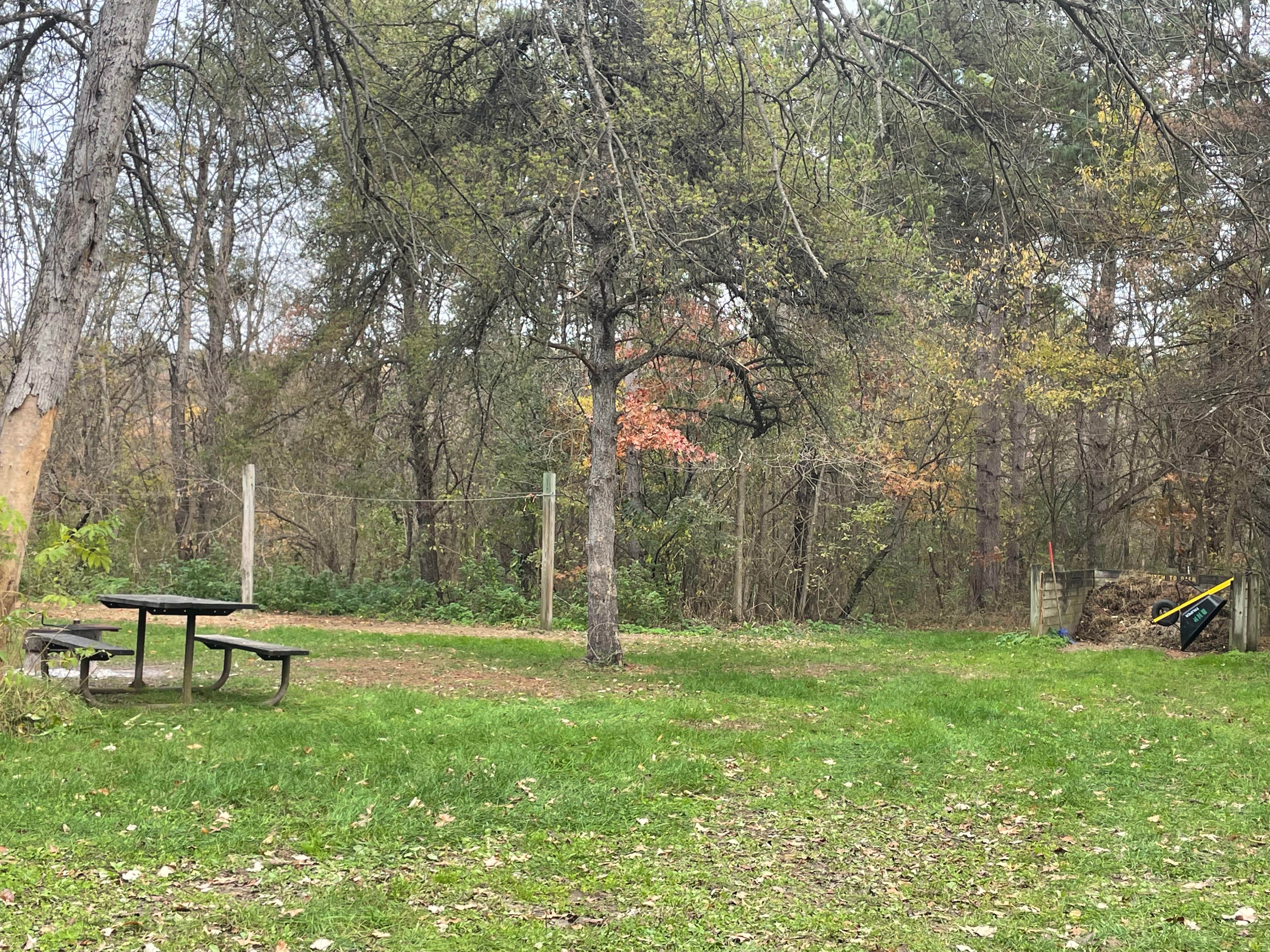 Camper-submitted photo at Zumbro Bottoms West — R.J.D. Memorial Hardwood State Forest near Elmwood, WI