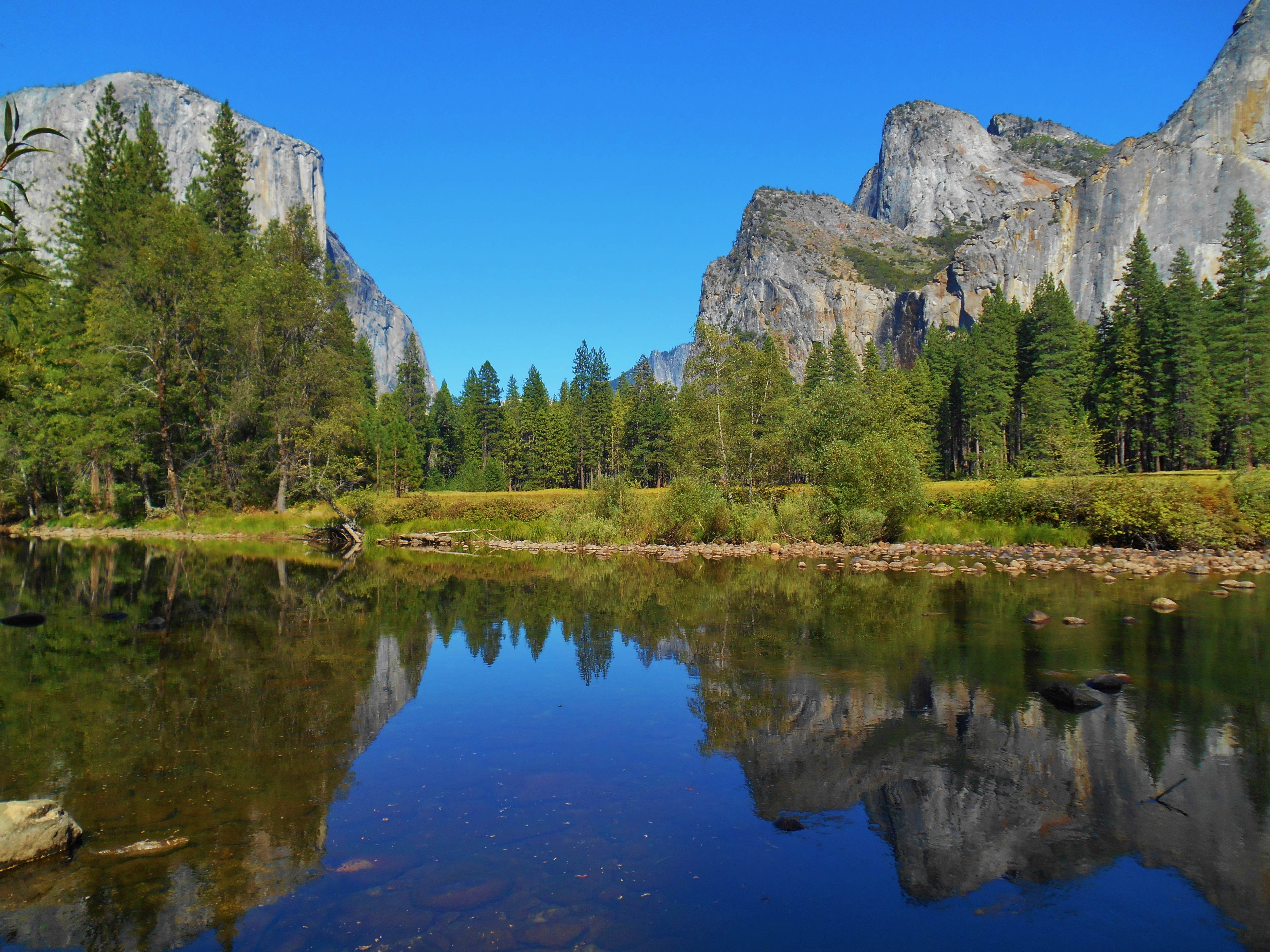 17+ Forest Camping Near Los Angeles