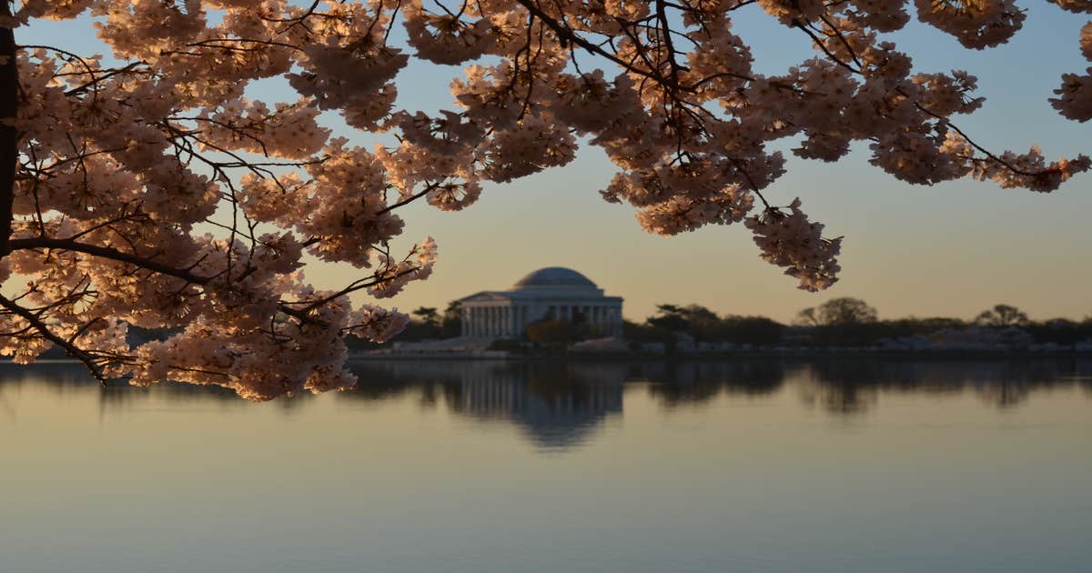 National Mall & Memorial Parks