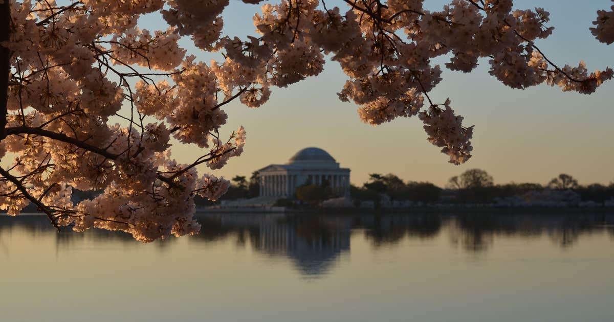 National Mall & Memorial Parks