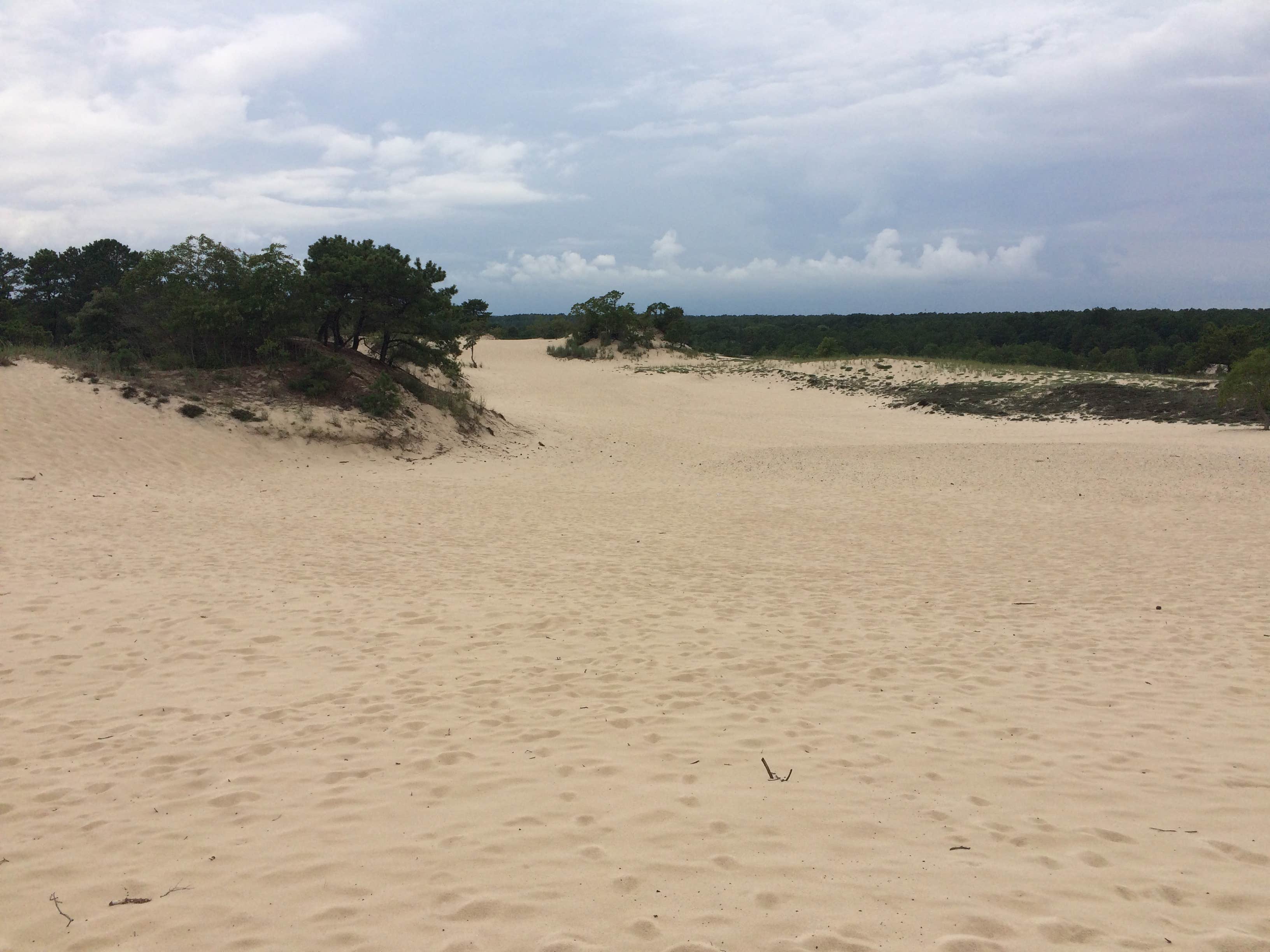 The Best Camping Near Bethany Beach, Delaware