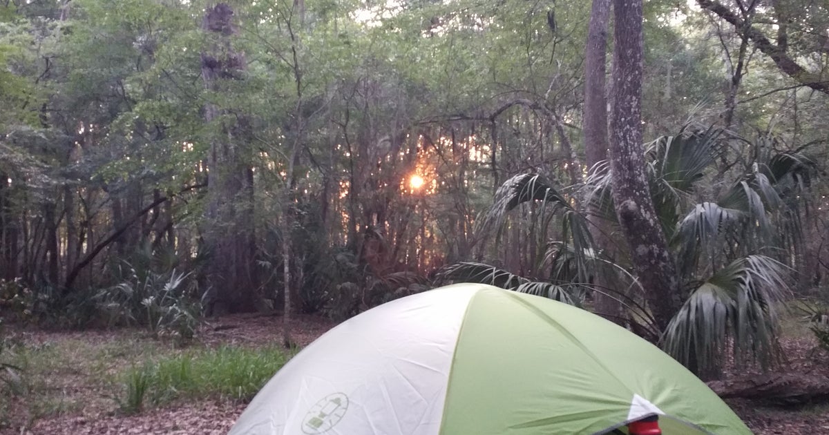 THE BEST CAMPING NEAR Everglades National Park, Florida