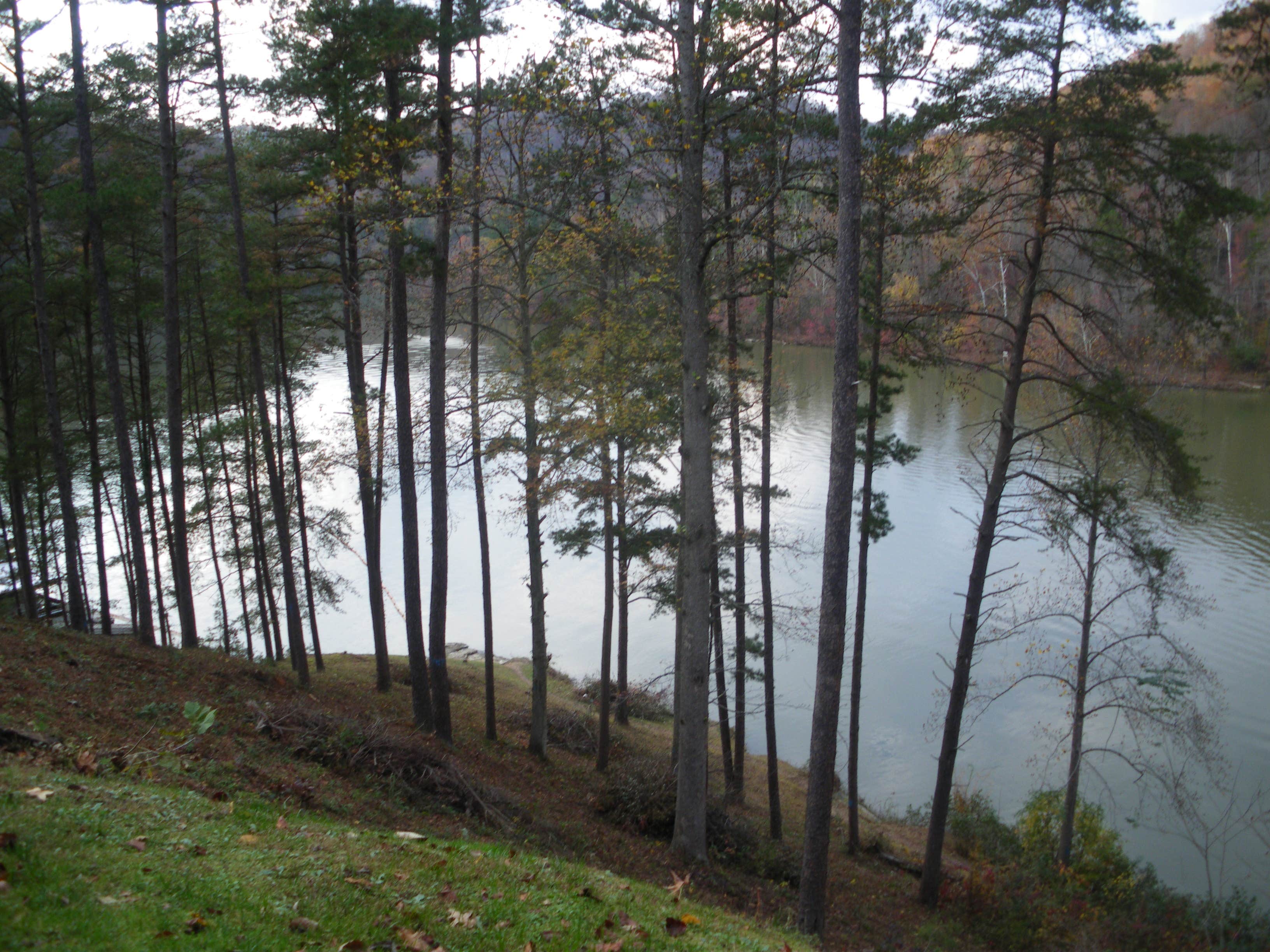 Camping in Kentucky