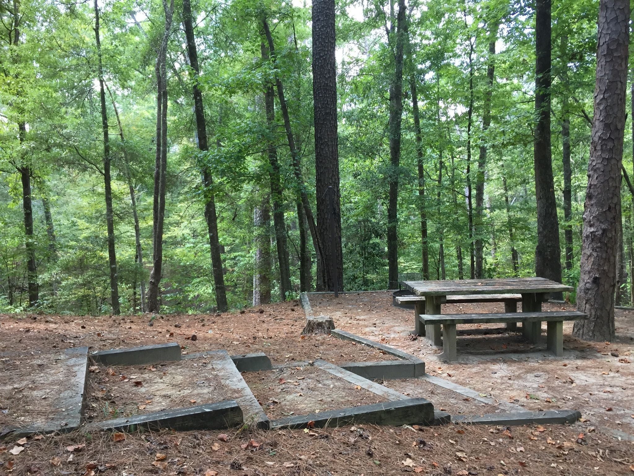 Camping in Holly Springs National Forest