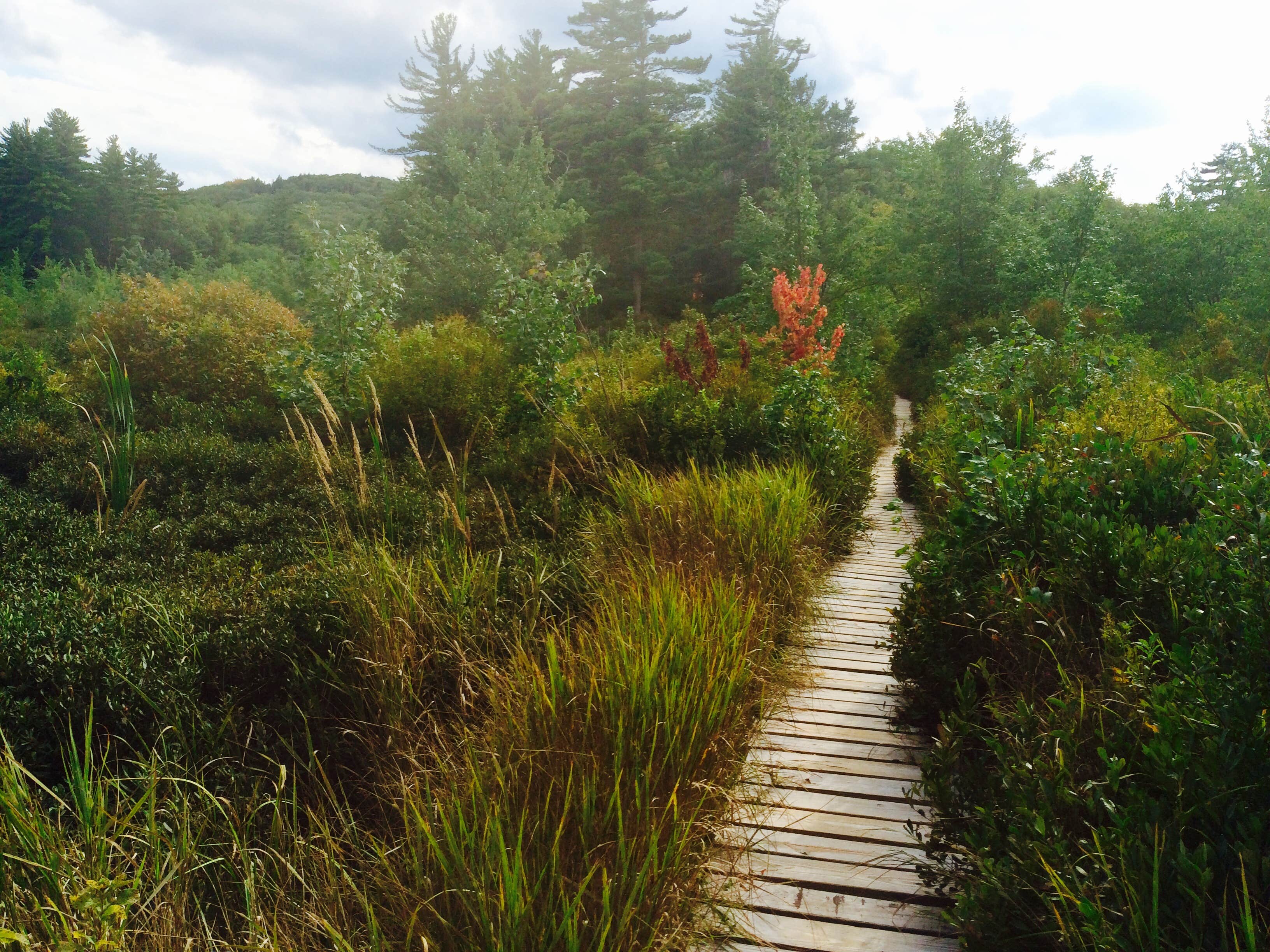 The Best Camping Near Hampton Beach, New Hampshire