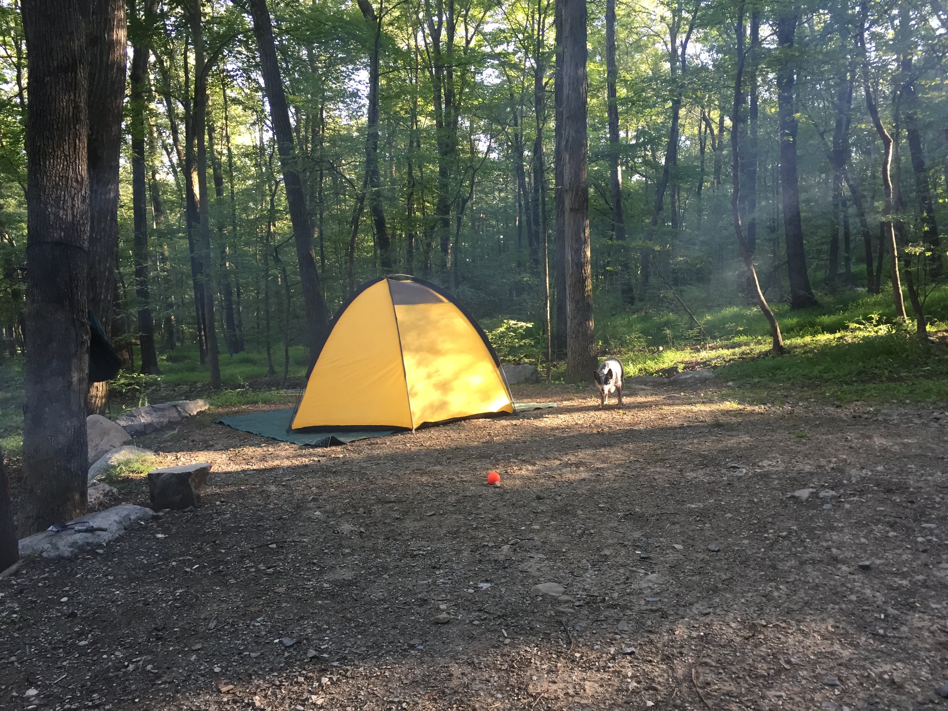 Camping in Green Lake