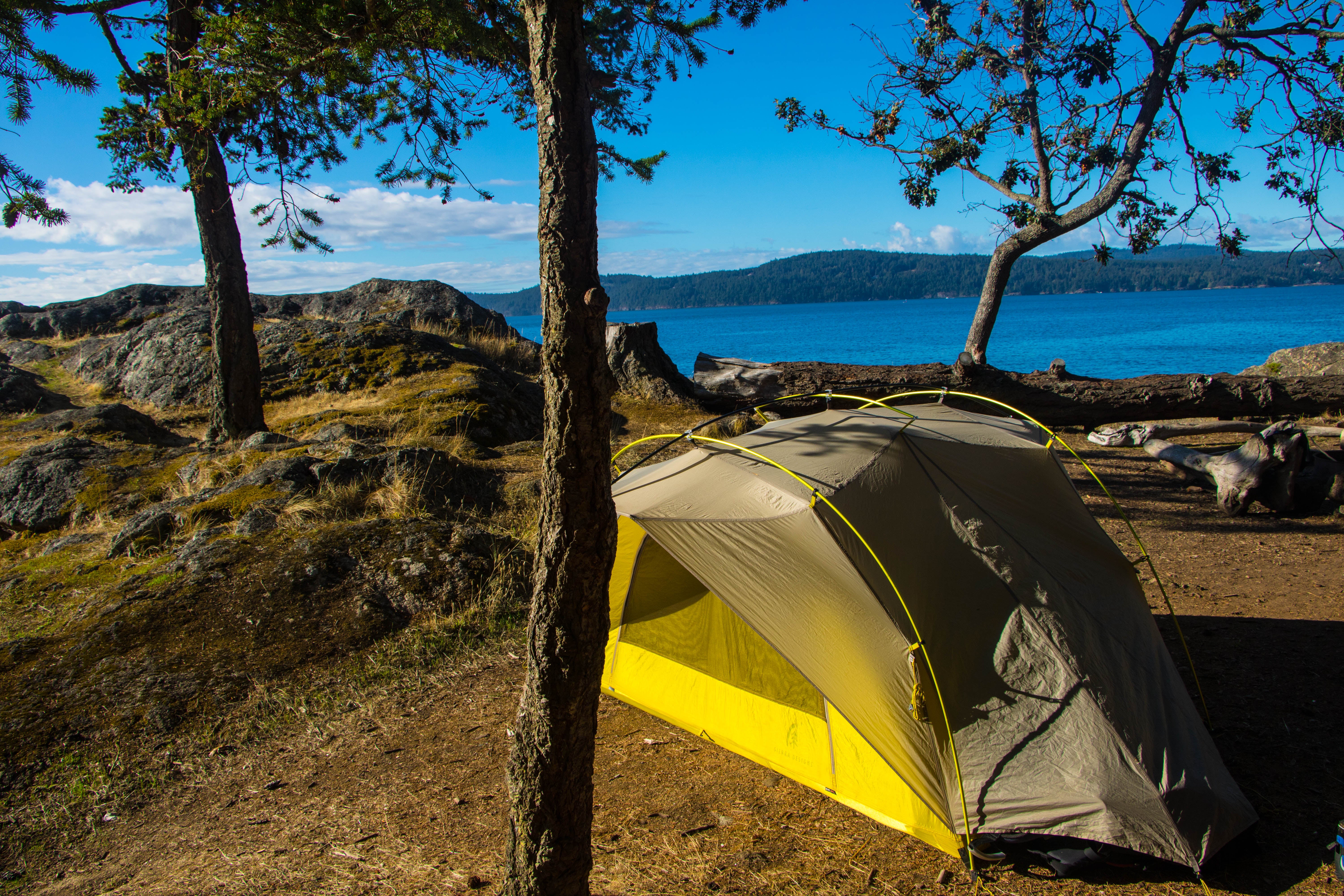 Camping in Mt. Rainier National Park