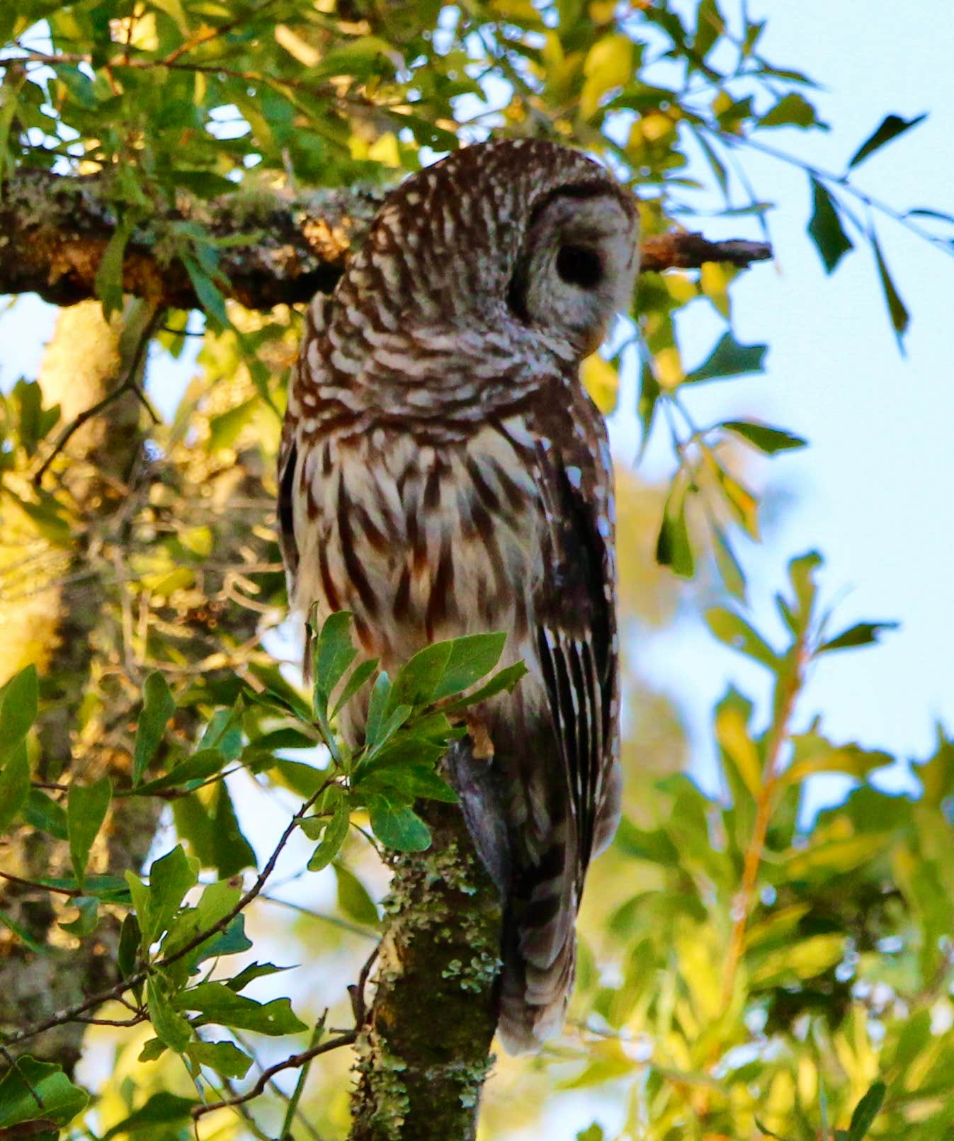 Come Wheelin’ with John & Christie W.
