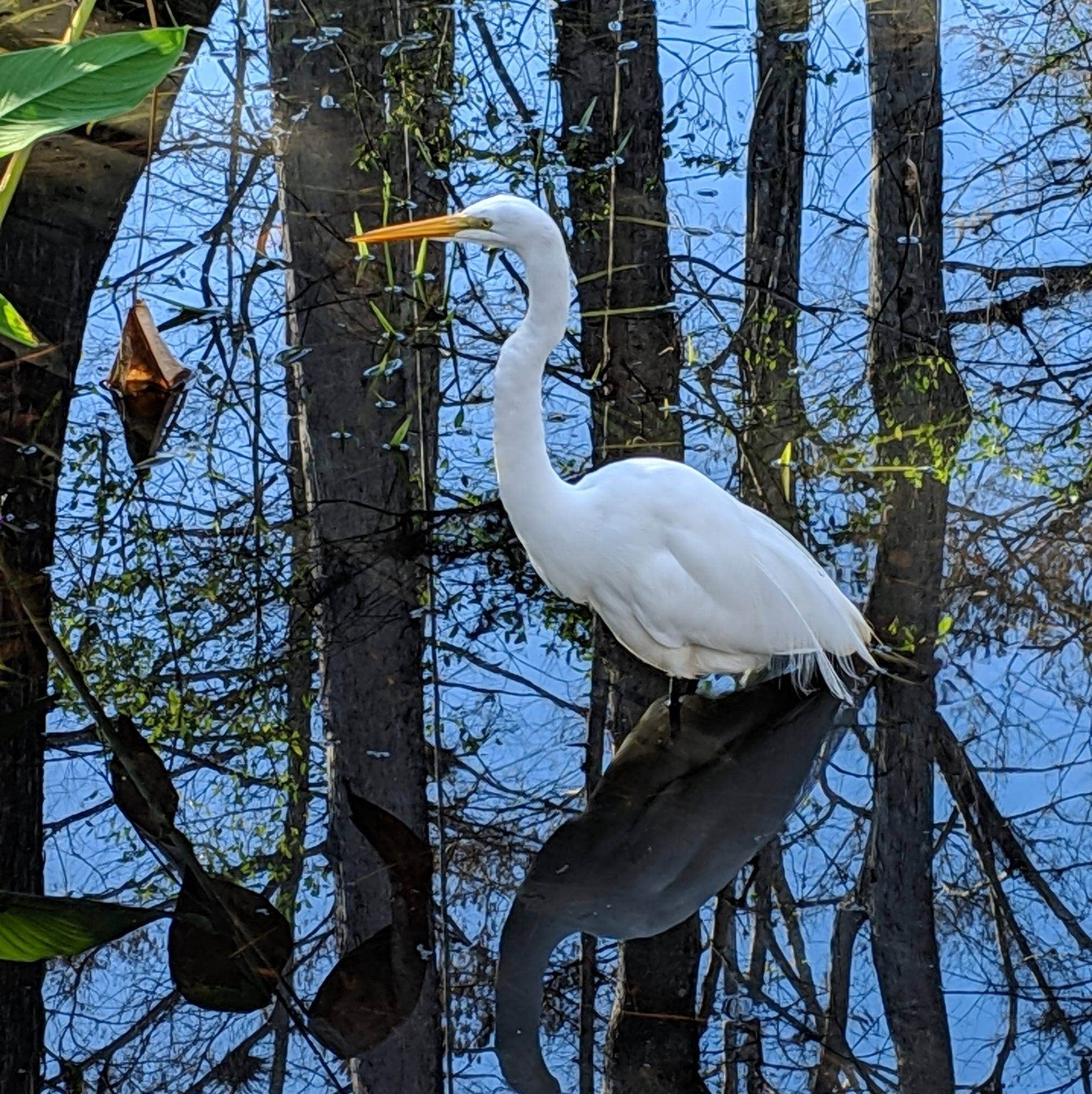 l.jeczen@hotmail.com T.