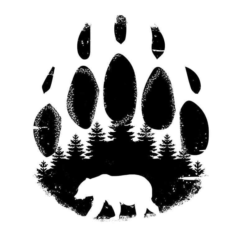 Bear D.