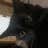 Anonymous N.