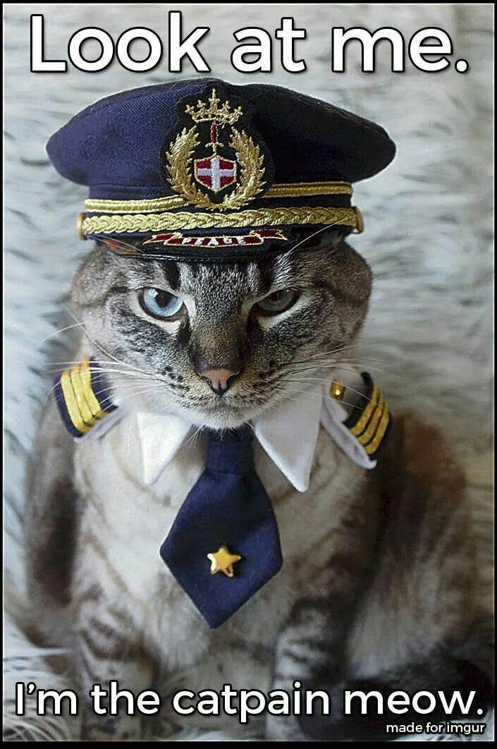 CaptMeow H.